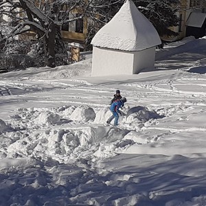 Družina - únor