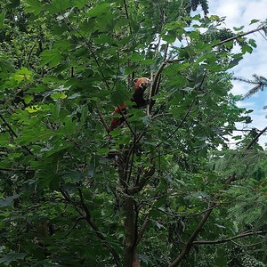 Výlet 1. stupeň - Liberec - ZOO + botanická zahrada