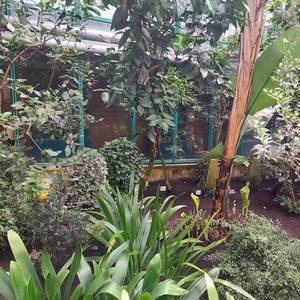 Výlet 1. stupeň - Liberec - ZOO + botanická zahrada