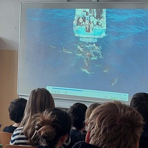 Potápění se žraloky - přednáška