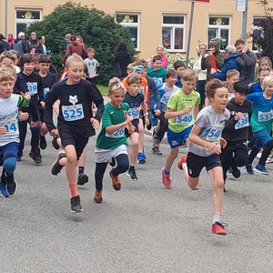 Běh Harteckou alejí
