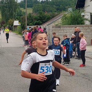 Běh Harteckou alejí
