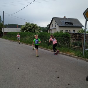 BĚH HARTECKOU ALEJÍ - 15. ročník tradičních školních závodů