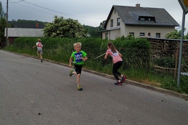 BĚH HARTECKOU ALEJÍ - 15. ročník tradičních školních závodů