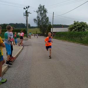 BĚH HARTECKOU ALEJÍ - 15. ročník tradičních školních závodů