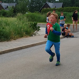 BĚH HARTECKOU ALEJÍ - 15. ročník tradičních školních závodů