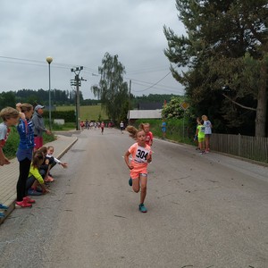 BĚH HARTECKOU ALEJÍ - 15. ročník tradičních školních závodů