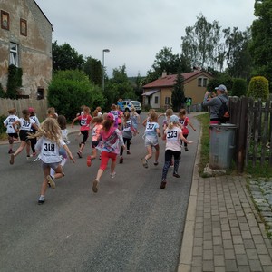 BĚH HARTECKOU ALEJÍ - 15. ročník tradičních školních závodů