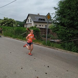 BĚH HARTECKOU ALEJÍ - 15. ročník tradičních školních závodů