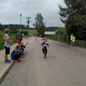 BĚH HARTECKOU ALEJÍ - 15. ročník tradičních školních závodů