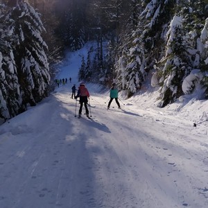 TV - 2. stupeň - první skialp + běh na lyžích