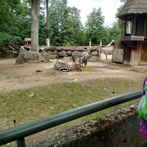 Výlet 1. stupeň - Liberec - ZOO + botanická zahrada