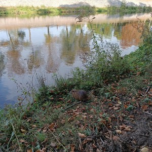 Hvězdárna a planetárium Hradec Králové