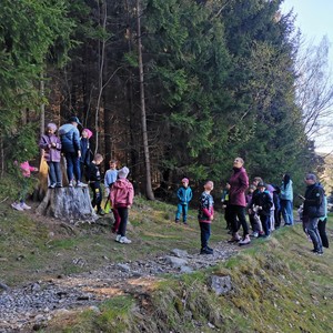 Den Země - KRNAP - ptáci kolem nás
