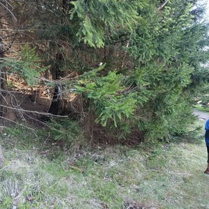 Den Země - KRNAP - ptáci kolem nás