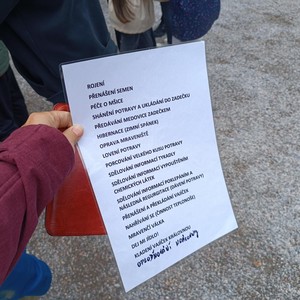 Mravenčení - program pro 1. stupeň