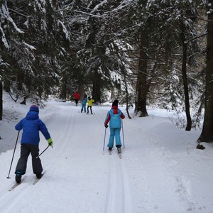 Družina na běžkách