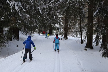 Družina na běžkách