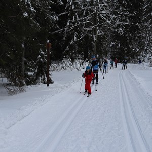 Družina na běžkách