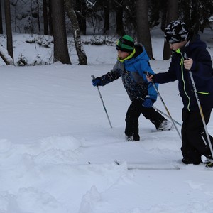 Družina na běžkách