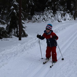 Družina na běžkách