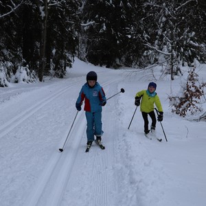 Družina na běžkách