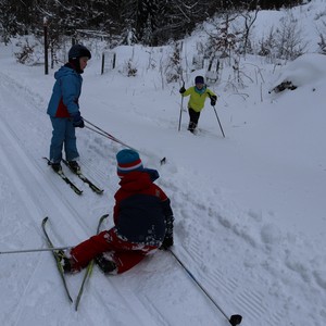 Družina na běžkách