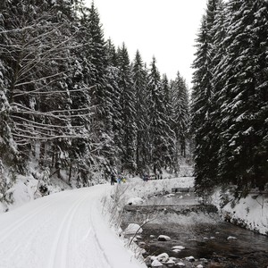 Družina na běžkách