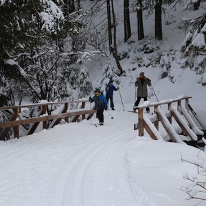 Družina na běžkách