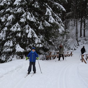 Družina na běžkách