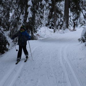 Družina na běžkách