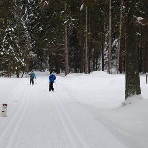 Družina na běžkách