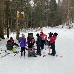 Družina na běžkách