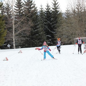 Závody v běhu na lyžích
