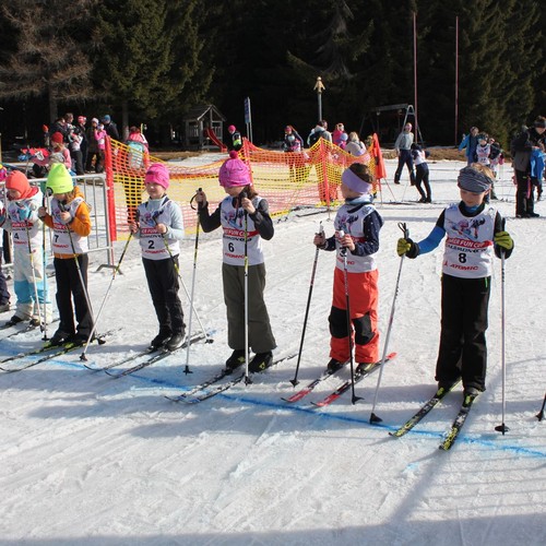 Školní závody v běhu na lyžích