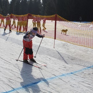 Školní závody v běhu na lyžích