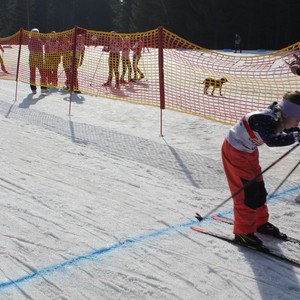 Školní závody v běhu na lyžích
