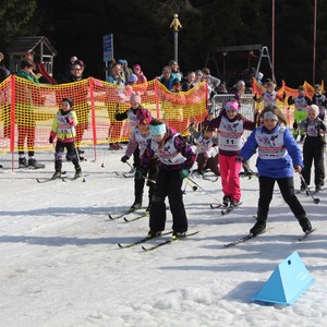 Školní závody v běhu na lyžích