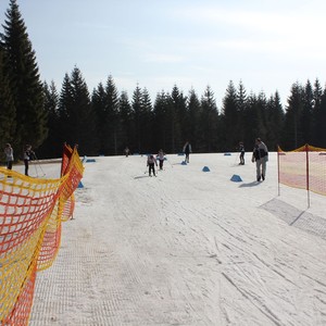 Školní závody v běhu na lyžích