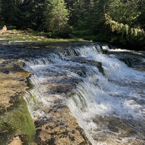 Družina - červen