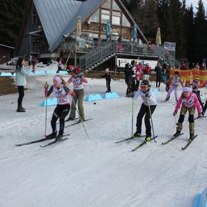 Školní závody v běhu na lyžích