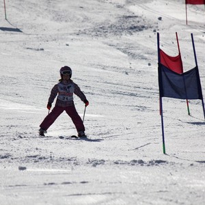 Závody ve sjezdu na lyžích