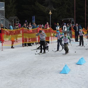 Školní závody v běhu na lyžích