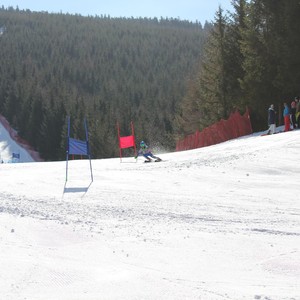 Závody ve sjezdu na lyžích