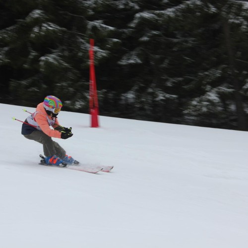 Školní závody ve sjezdovém lyžování