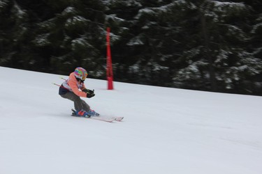 Školní závody ve sjezdovém lyžování