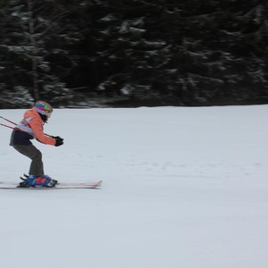 Školní závody ve sjezdovém lyžování