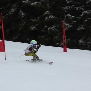 Školní závody ve sjezdovém lyžování