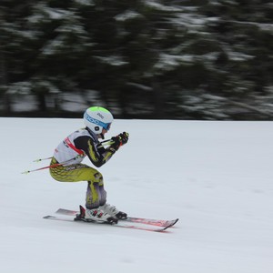 Školní závody ve sjezdovém lyžování