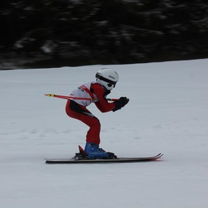 Školní závody ve sjezdovém lyžování